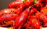 “只活一个夏天”的小龙虾为何如此风光？