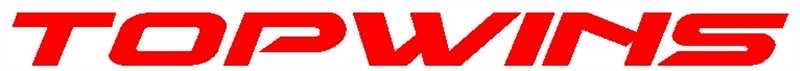 深圳市王仕电子有限公司(topwins) Logo