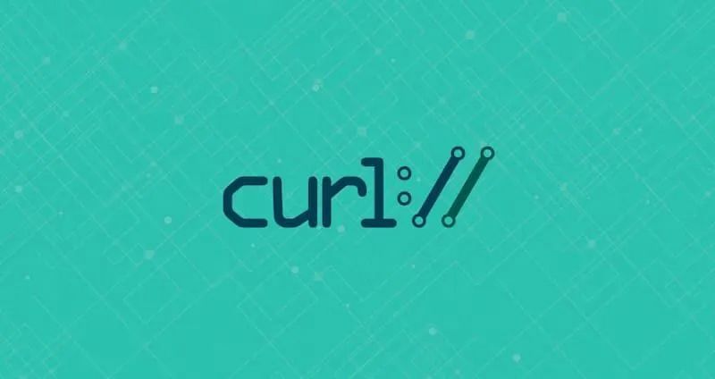 24 年了，终于有人发现 curl 的这个 Bug 了