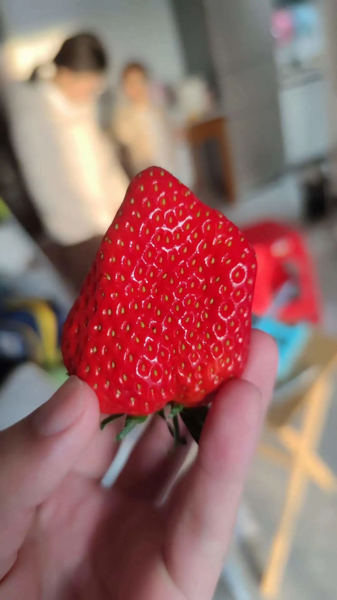 嵌入式这个青春饭我吃了整整几十年