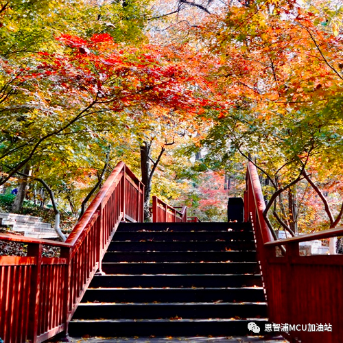 这个秋天，OpenCV和MCU更配哟（实战篇）