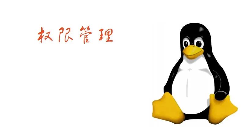 掌握Linux文件和目录权限管理：详解chmod与chown的实用操作