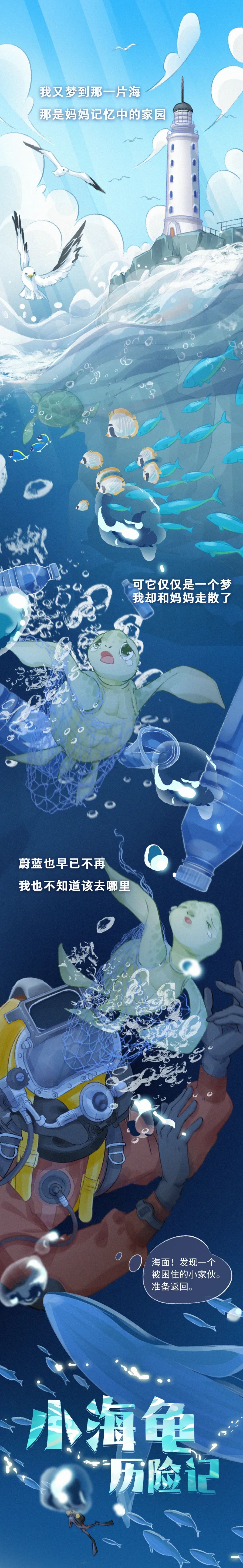 《小海龟历险记》第一期