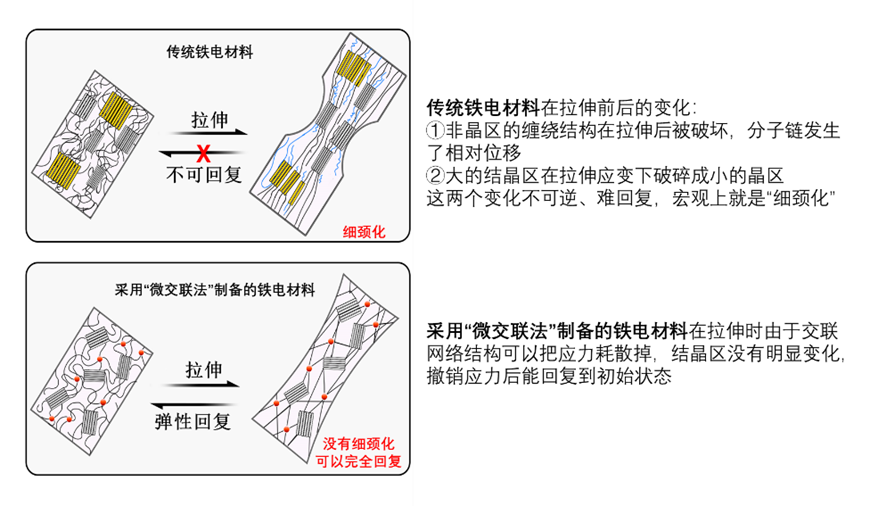 铁电材料首次被制成“橡皮筋” 为可穿戴设备解锁更多造型