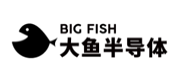 Big Fish(大鱼半导体)