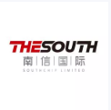 南信国际( THESOUTH) Logo