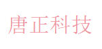 唐正科技 Logo