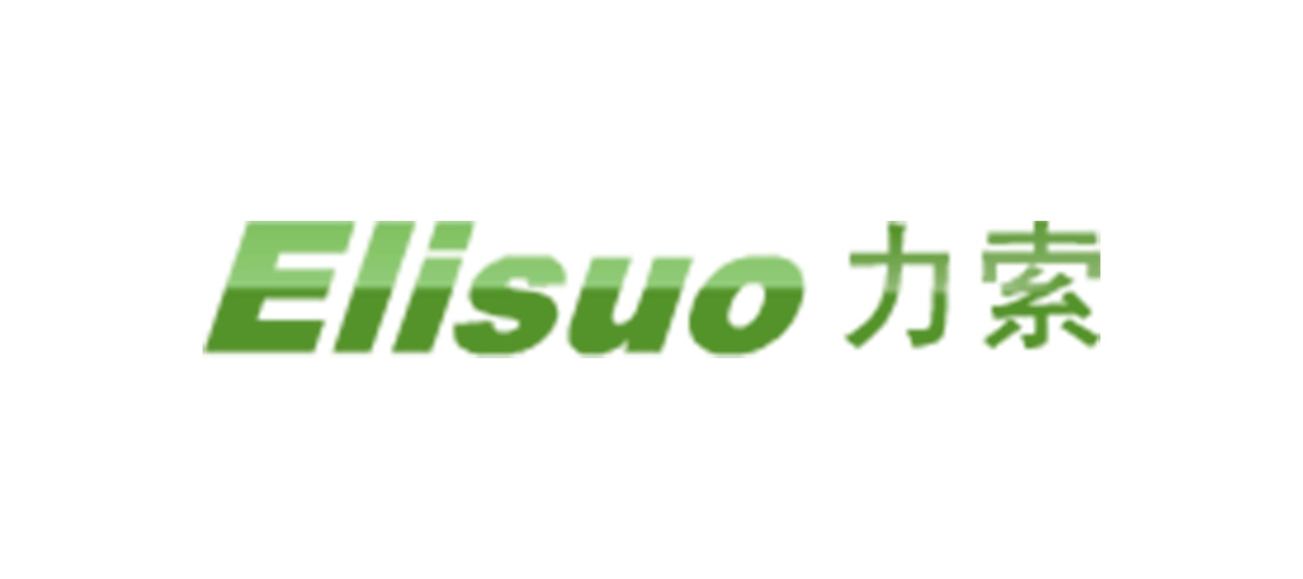 深圳市力索微电子有限公司 Logo