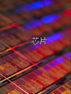 芯片 中国芯片 科普 圆晶 一片圆晶可以做这么多芯片！