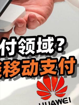 聊聊华为获得支付牌照的事情。33 华为 华为拿下支付牌照