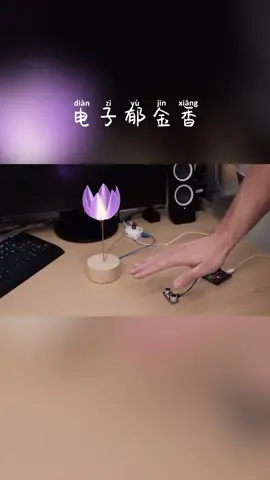 永恒的电子郁金香，做一个送给女朋友怎么样？花 电子技术 晾霸