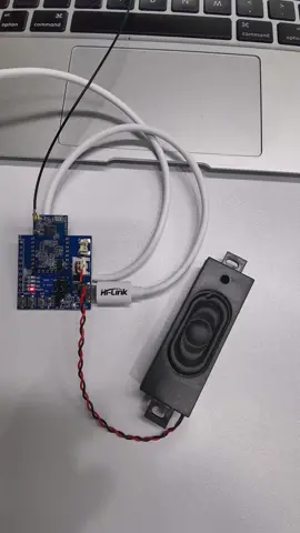 文字转语音模块，带蓝牙和WIFI功能