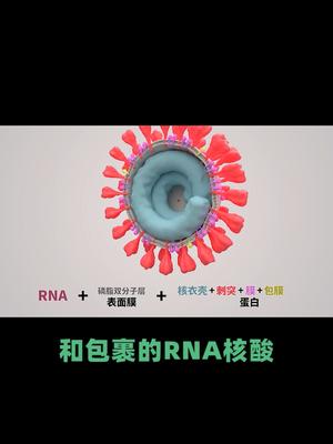 在家也能监测新G病毒吗？医学科普 干净又卫生