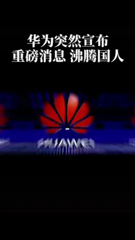 华为突破限制，手机壳实现4G变5G！数码科技 华为手机壳 5G