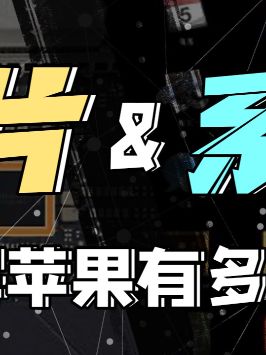 安全芯片有多重要？知道冠希哥的故事都知道吧？安全芯片 芯片科普 抖来学习 冠希哥