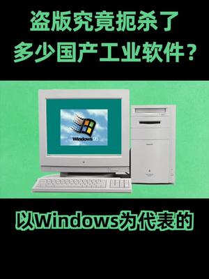 暑期知识大作战 芯片 盗版软件扼杀了多少优秀国产软件？