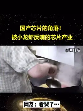 国产芯片的角落！被小龙虾反哺的芯片产业！ 芯榜 芯片国产芯片的角落半导体