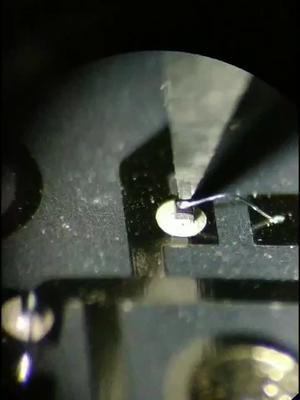 高端数码管测试
