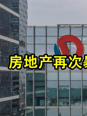 第二个“恒大”已经出现，引发新的危机，普通人未来还能买房吗？