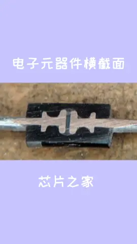 非常漂亮的电子元器件拆解横截面，你认识几个？电子元器件 拆解 电阻 贴片电容