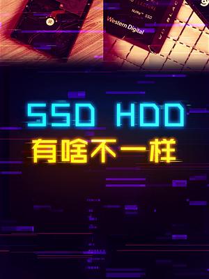 SSD和HDD哪里不一样七天打卡新知识 轻知识计划