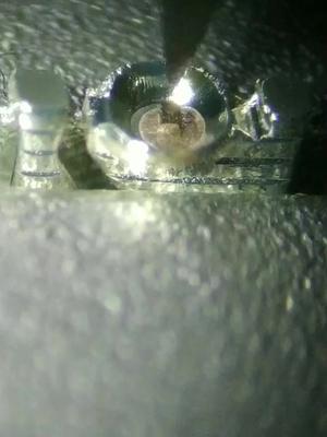 lamp银胶产品推力测试