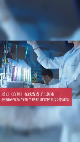 癌症治疗又现新突破！网友：终于看见癌细胞比我们先死去癌症 研究