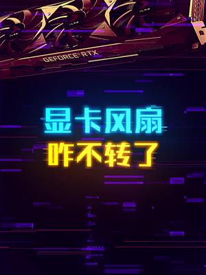 为什么你的显卡风扇突然不转了？ 这个视频有点料 轻知识计划