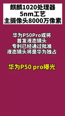 华为p50 鸿蒙系统➕8000万像素 华为p50 pro 曝光，你们期待嘛？
