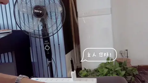 智能管家 智能语音遥控如何设置，超傻瓜设置电风扇 惬意午后 黑科技 物联网