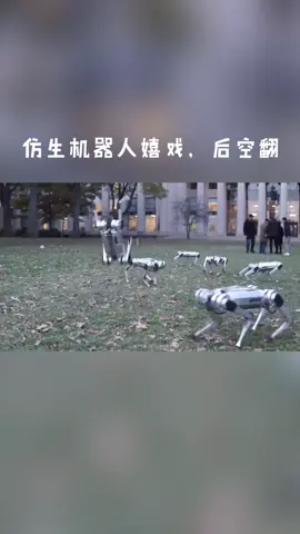 麻省理工学院仿生机器人实验室的机器，互相骑乘，嬉戏，后空翻，踢足球，表演有趣可爱可爱仿生机器人 机器人抖