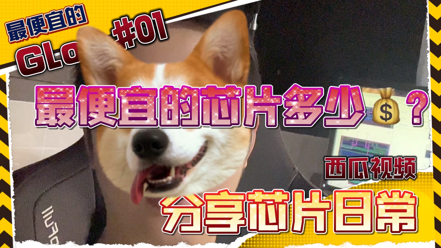 你知道最便宜的芯片多少💰吗？ D