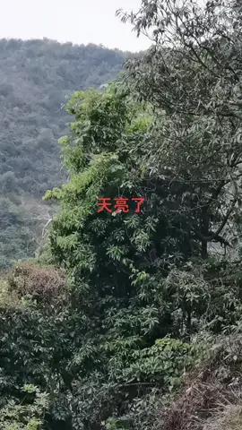 搞错了，重新来过
