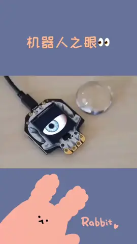 机器人之眼👀，未来可用于机器人，效果非常逼真机器人电子