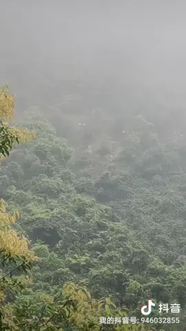 大山深处自然美