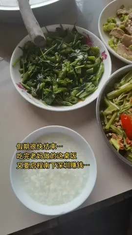 电子产品芯片mcu方案开发 还没玩够又得去广东打工了啵