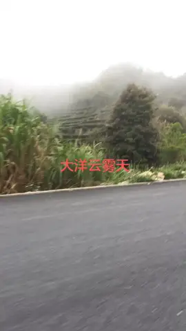 广东最高的山，最新鲜空气，大自然氧吧
