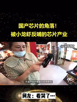 为国产芯片崛起大任而努力💪 国产芯片国产芯片崛起 国产芯片的角落小龙虾反哺芯片