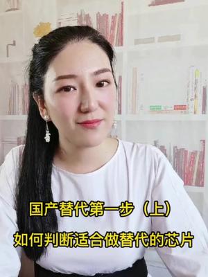 国产替代第一步终端&服务终端的渠道商必看国产替代 芯片科普