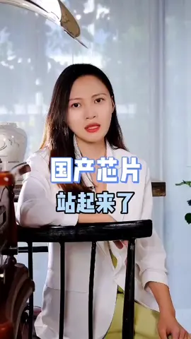 国产芯片机会来了，此芯片非新闻上被打压的手机芯片哦！而是微控制芯片芯片 微控制芯片 手机芯片