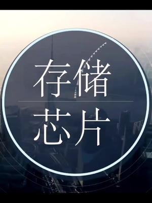 半导体研究系列-存储芯片问答环节投资 半导体 存储芯片商业金融 科技