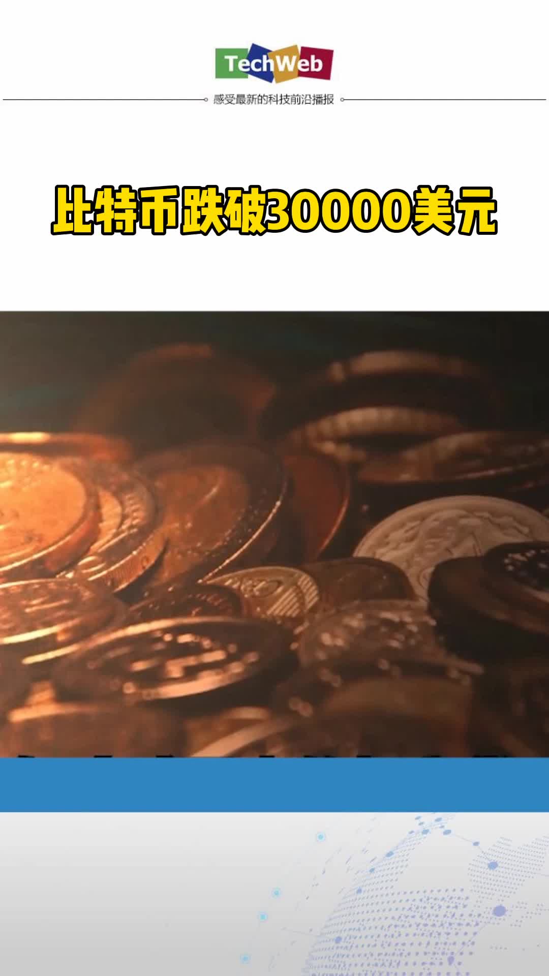 比特币跌破30000美元 谁的韭菜掉地上了？