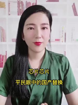 平民神逻辑：国产替换像换衣服这么简单？芯片 国产替代