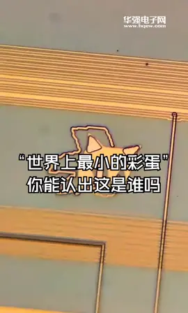 这应该是“世界上最小的彩蛋”芯片光刻机芯片制造