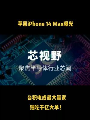 苹果iPhone 14 Max曝光，台积电成最大赢家，独吃千亿大单！集成电路 芯片 半导体 数码科技 台积电 iphone
