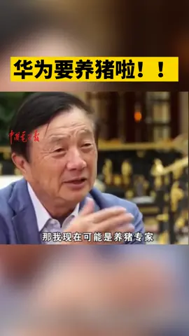快来看！华为要养猪啦！近日华为启动 “南泥湾”项目，并实施“华为智慧养猪解决方案” 华为 AI 数据