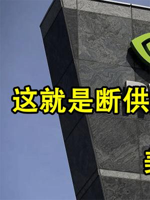 华为 任正非 美企 芯片 光刻机 国产 报应 美元