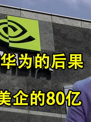 华为 任正非 美企 芯片 光刻机 国产 报应 美元