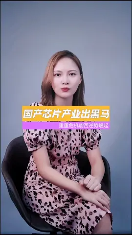 芯片 中国制造 芯片制作难在哪里？ 国产芯片黑马频出，重重危机中能否崛起？光刻机 科技改变未来