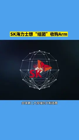 SK海力士想“组团”收购ArmSK海力士Arm收购